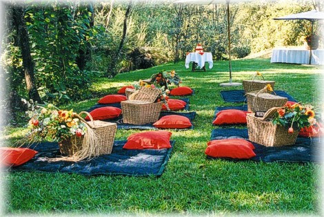 Outdoor picnic-style catering setup